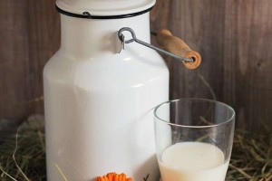 喝全脂牛奶有哪些好处全脂牛奶功效解析
